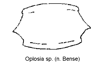 OPLOSIA SP